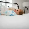 Harris Pillow Toddler Sleeping Bundle: Organic Pillow + Blue Rainbows Case